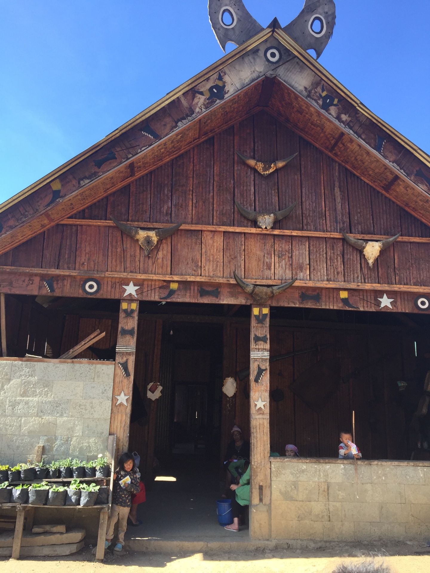 A traditional Konyak morung with mithun skulls and carved facade in a Naga village
