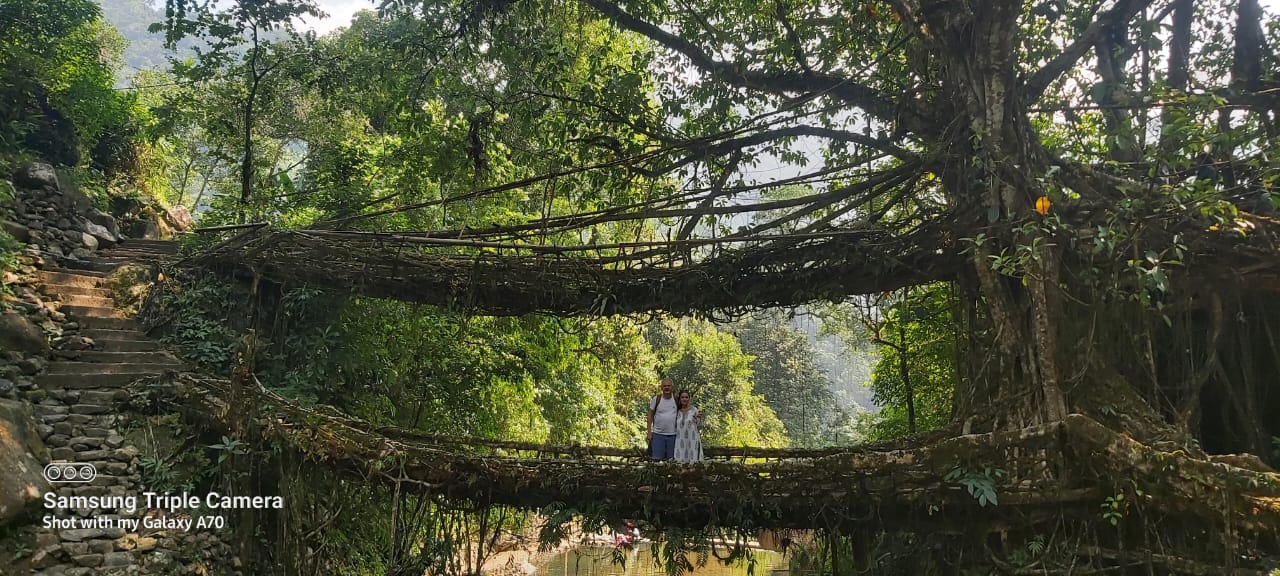 Living root bridge in Meghalaya rainforest