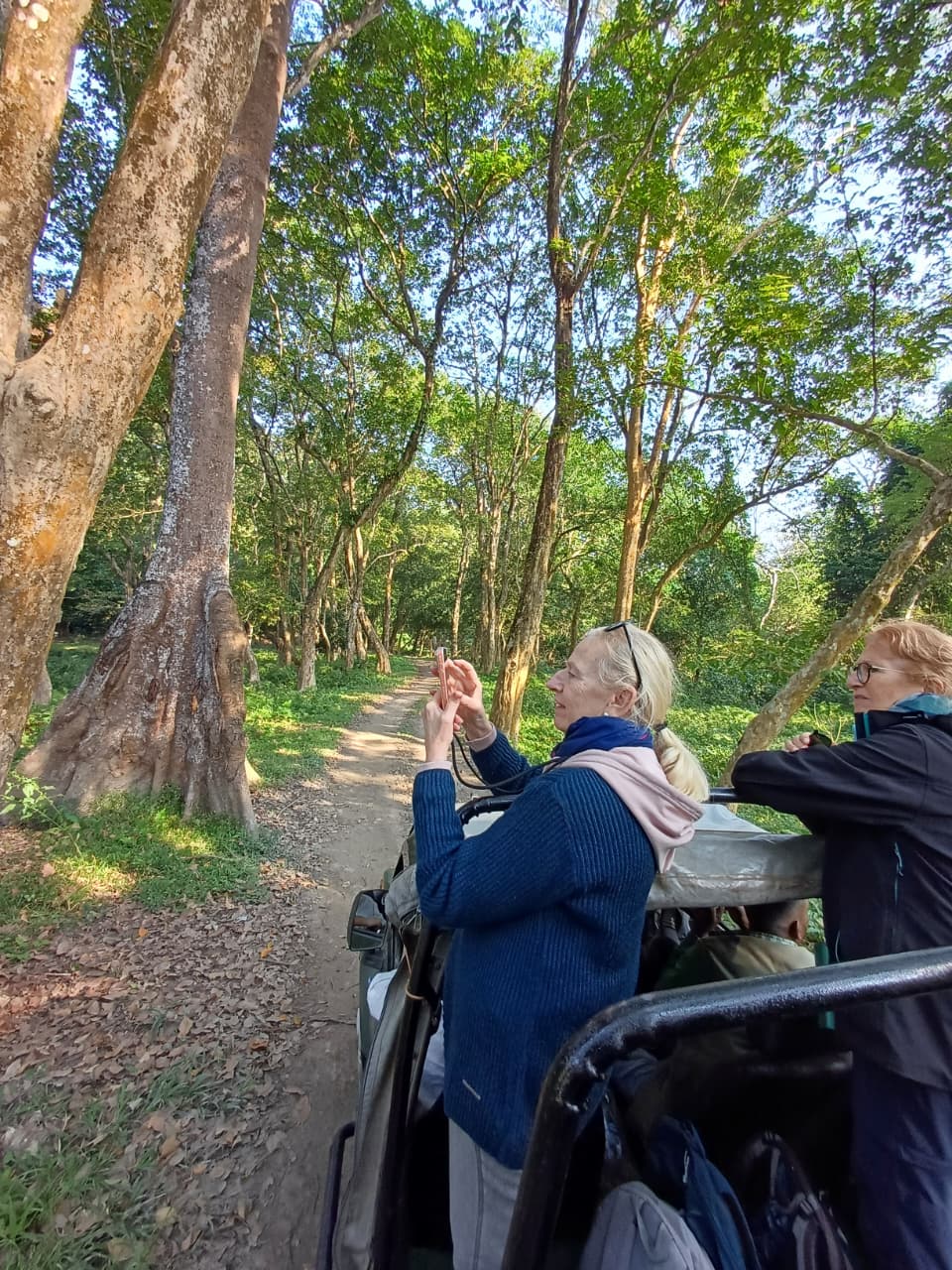 Two travellers standing in an open jeep photographing a forest track lined with tall trees in Kaziranga National Park