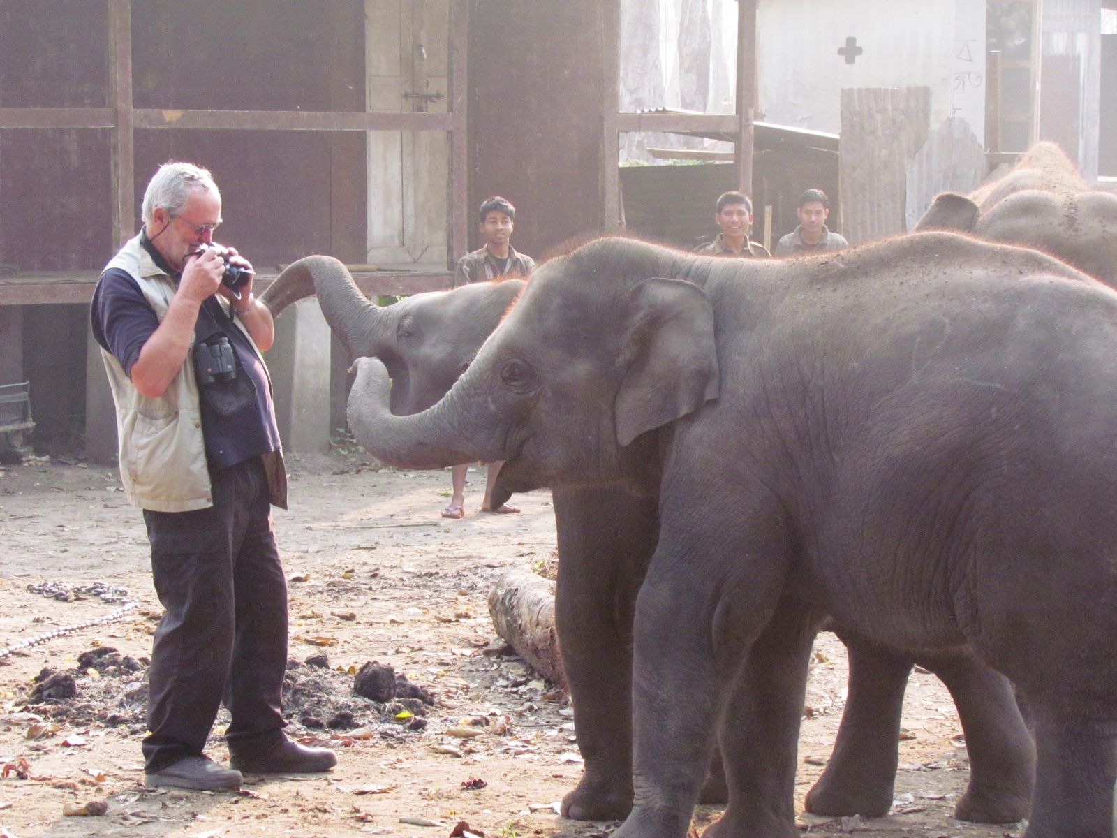 Photographer beside young Asian elephants at a forest camp