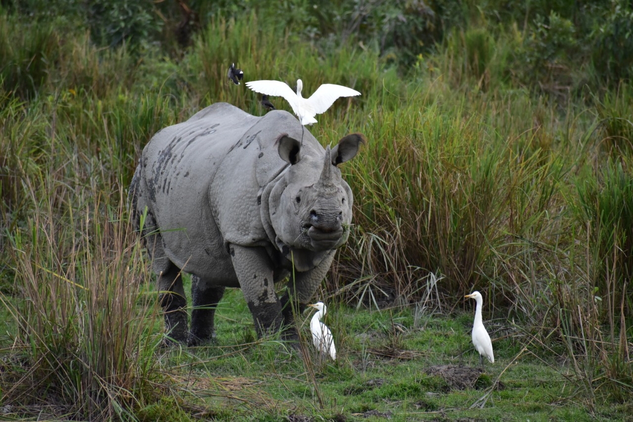 Wildlife & Photography Expeditions