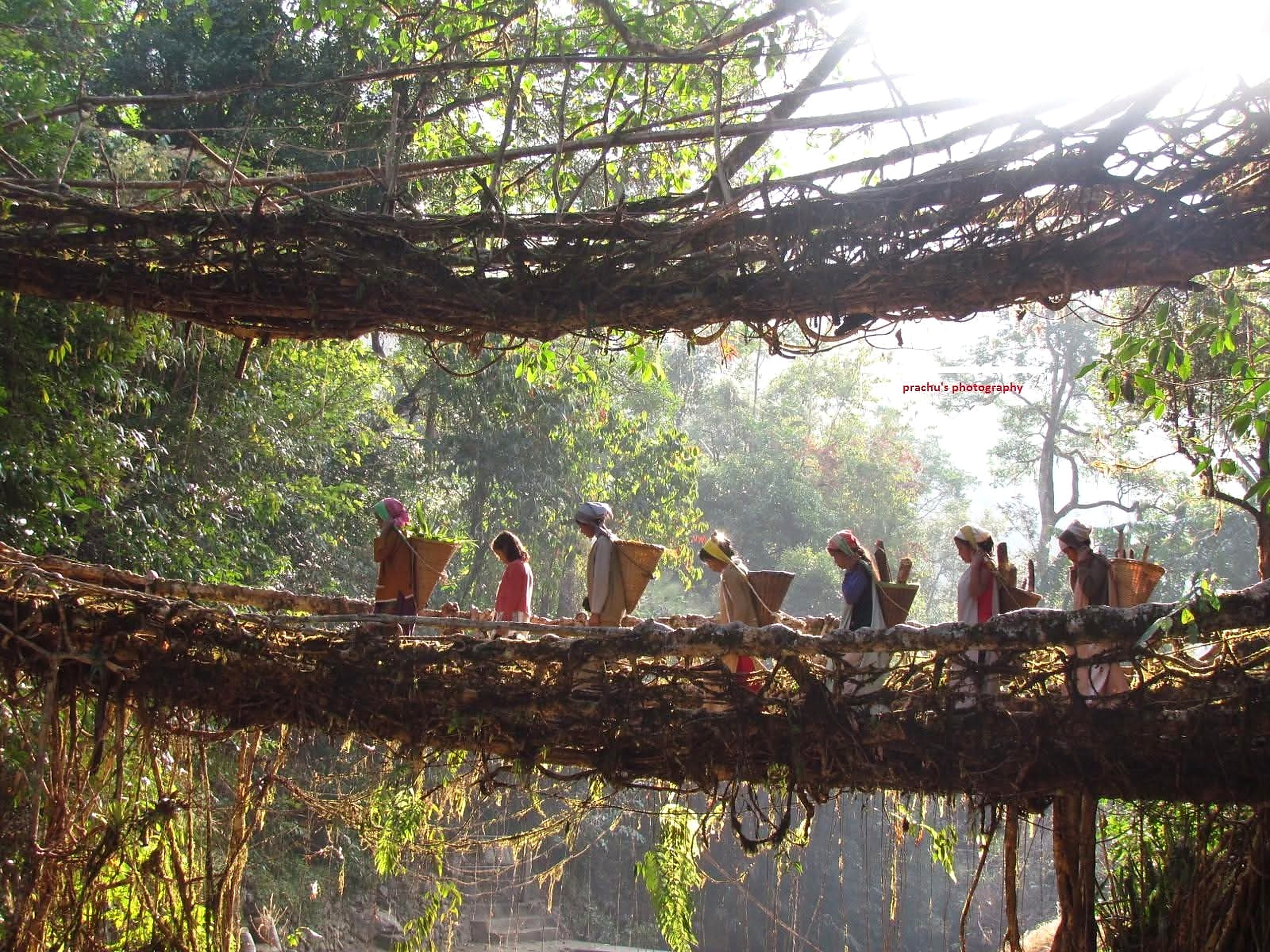Luxury Cultural Expeditions
